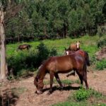 0c84046e-a80a-486d-a3ad-fb5e12bc39c9