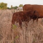 0f27fbda-f3cc-4ee2-b072-3d389f74c476