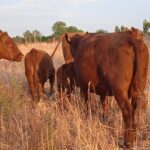 24af0366-cf8e-4fa7-9bcc-75c975b68e6c