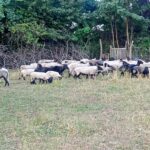 2a25b76c-47c4-413c-b1ce-0e15a21937b1