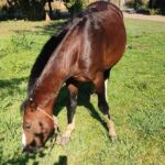 2a587951-3d03-41eb-9287-e397a1e2c0de