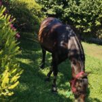 3353a77e-3a91-4c41-b96b-7d0296876be4