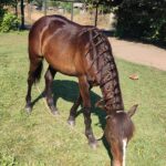 37e7eafc-7572-4a7e-9b64-49150e02e09d