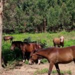 38548f57-f6f6-481c-98a4-e41e17f346b3