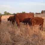 427558ee-80f2-4308-b8cf-8e1c31fa445d