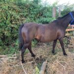 531444af-9bb5-48e3-b3b7-1ae7df655f67