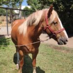 5d284b47-0d9e-463d-8772-023e8e469593