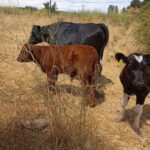 a12c64d3-0a74-4218-90f1-2082de2a3f94